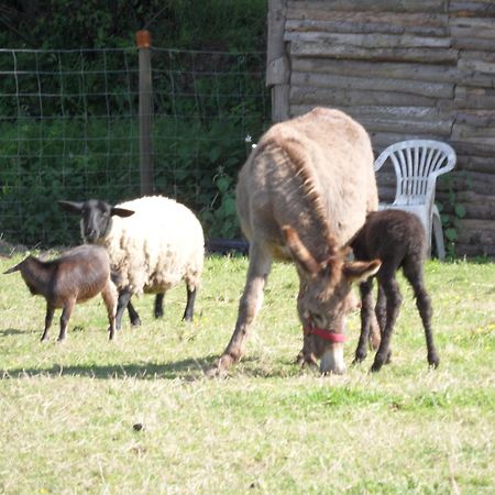 Les Pieds Dans L'Herbe Bed & Breakfast Rosporden Eksteriør bilde