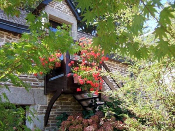 Les Pieds Dans L'Herbe Bed & Breakfast Rosporden Eksteriør bilde