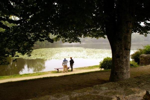 Les Pieds Dans L'Herbe Bed & Breakfast Rosporden Eksteriør bilde